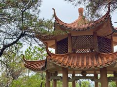 -榴花公园