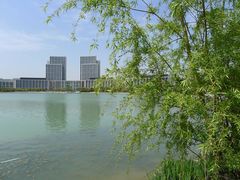-尚贤河湿地