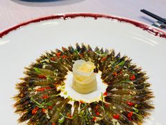 -子福慧(虹桥店)