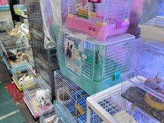 -青石桥花鸟鱼虫市场(叠翠城店)