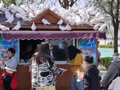 -天津妈祖文化园