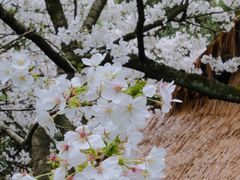 -中国茶叶博物馆(双峰馆区)