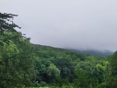 -棒棰岛宾馆景区