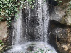 -南山植物园