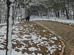 -嵖岈山风景区