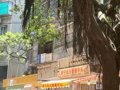 -普宁反沙番薯芋头