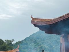 -深圳仙湖植物园