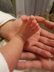 -明宇集团·积木枝芽母婴健康管理中心(天府店)
