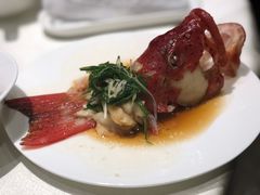-皇朝会.经典传统粤菜(外滩店)