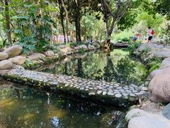 -成都市活水公园