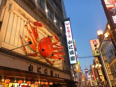 -蟹道乐(道顿堀本店)