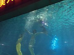 -福州罗源湾海洋世界旅游区