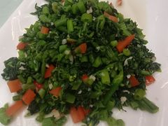 炒南瓜藤-古韵餐厅(湖畔大学店)