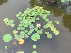 -文瀛公园