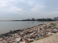 -宝安西湾红树林湿地公园