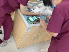 -美联众合动物医院·24h京西诊疗中心