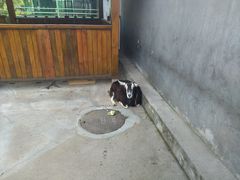 -瑞博尔花园酒店(太周创新产业园店)