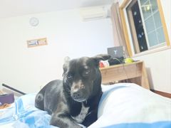 -觅福里•熟成和牛餐厅