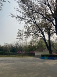 -酷酷兔少儿拓展天地