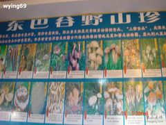 -东巴谷野生菌火锅餐厅