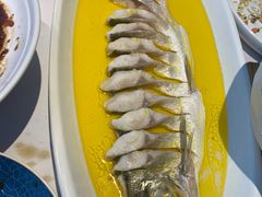 鸡汁大白鱼-食悦江南·淮扬菜·烤鸭(亚运村·惠新店)