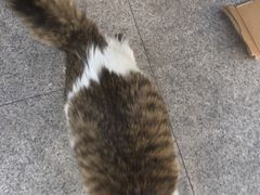 -中国工商银行(上海市共和新路支行)