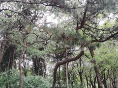 -长辛店二七公园