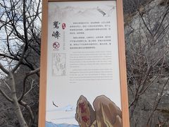 -北京鹫峰国家森林公园