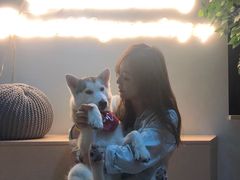 -Husky Go! 哈士奇体验馆·宠物咖啡厅狗咖