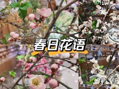-今日陶艺(富力广场店)