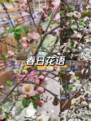 -今日陶艺(富力广场店)