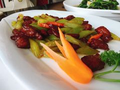 -云中小雅