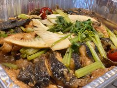 -老板恋上鱼(恒隆广场店)