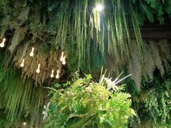 -家缘大酒店(新天地不夜城店)