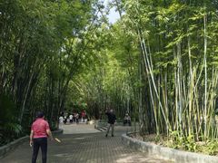 -晓港公园