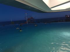 -汕头中海黄金海岸水上乐园