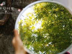 -深圳国际园林花卉博览园