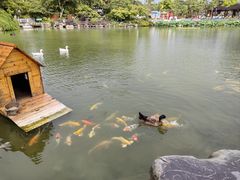-扬州瘦西湖温泉