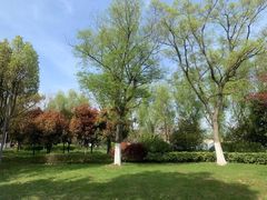 -昆山城市生态森林公园