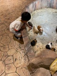 -宝燕乐园(闵行旗舰店)