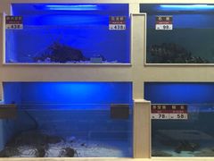 水产区-宜宾海鲜酒家·三十年老字号