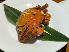 -觀芷隐轩