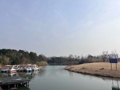-南湖湿地公园