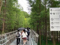 -福道