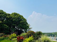 -昆山城市生态森林公园