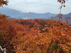 -周口店坡峰岭风景区