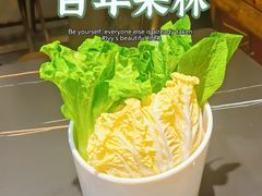 -百年果林椰子鸡(宝安总店)
