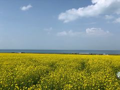-青海湖国家重点风景名胜区售票处