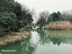 -青枫公园