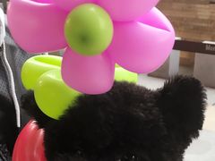 -Oh My Dog宠物沙龙(伊珊娜皮毛护理店)